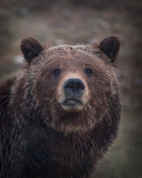 Thumbnail of p-b9aobcxacoh-d38cf5dc2ecb4463 0