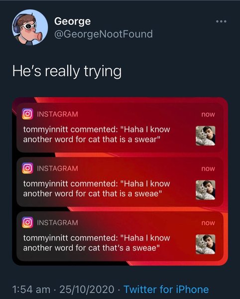 Thumbnail of p-cgzqrvhfnoe-d38efe75f9a04d0c 0