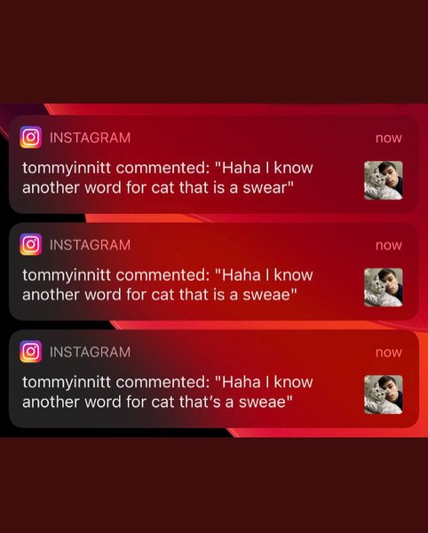 Thumbnail of p-cgzqrvhfnoe-d38efe75f9a04d0c 1