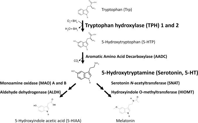 Thumbnail of www-x-com-bowtiedneuron-status-1702661171843670053-d3b1b3161f7a4703