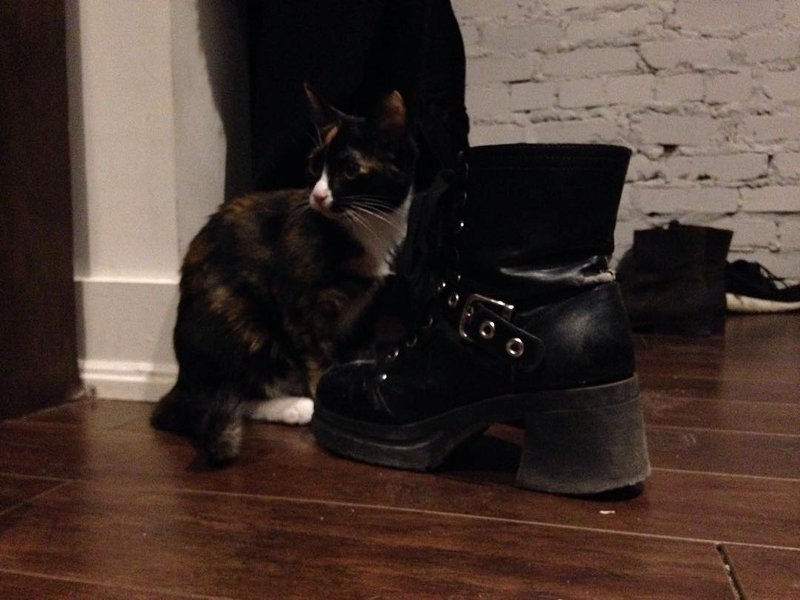 Thumbnail of p-brph77ugxln-d3b8dc5c3f4c4e32 0