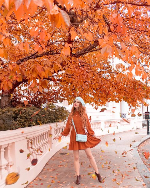 Thumbnail of p-cvypktvkn6z-d3c24d8f342043d4 0