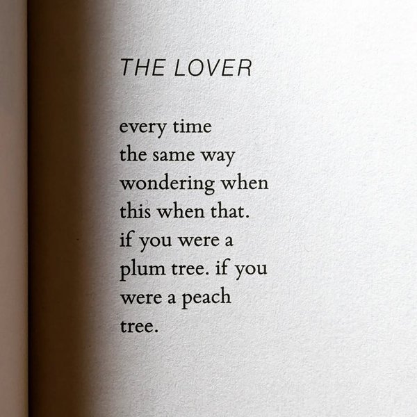 Thumbnail of p-cugpp69r8fb-d3cf5e56929d4fcb 0