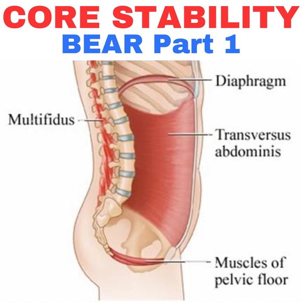 Thumbnail of p-c0tkwrclb1x-d3e147bded2a4fcb 0