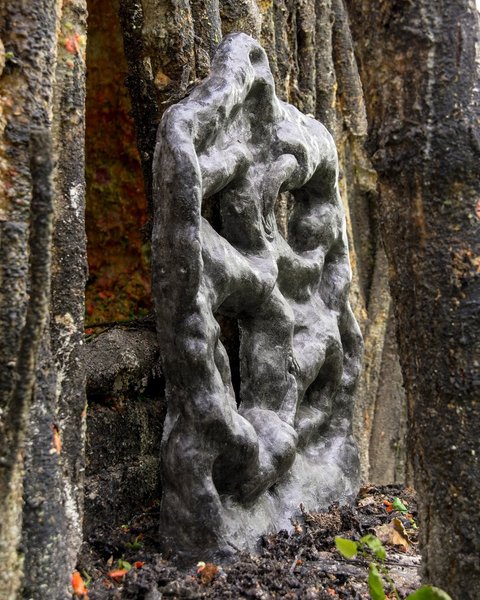 Thumbnail of cwjc9wtk8-p-d46a23cbce024893 4