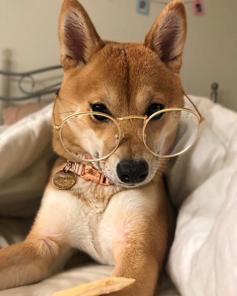 Thumbnail of beg6gw-laza-d475eeac8e474071 0