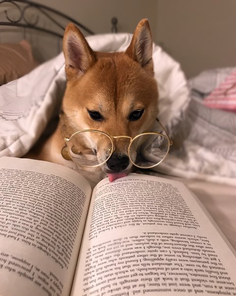 Thumbnail of beg6gw-laza-d475eeac8e474071 1