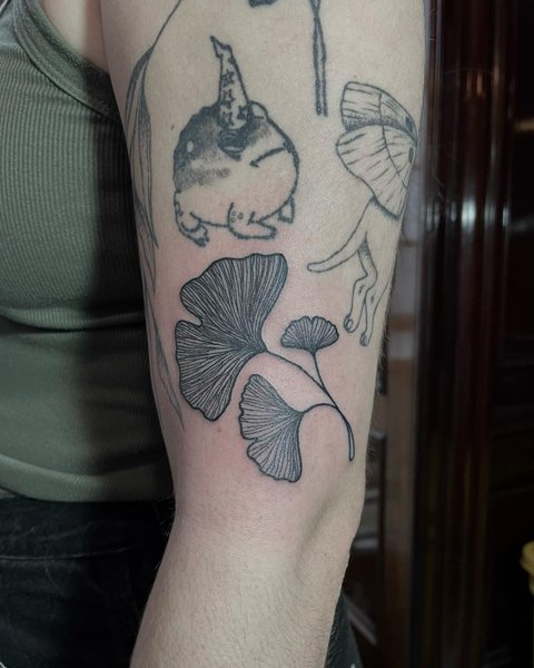 Thumbnail of ckv-4hskiou-d47bf099352b40af 0