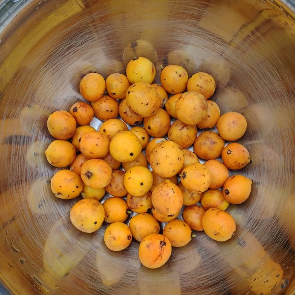 Thumbnail of p-cjbkrgbhejb-d48ddd19660044a4 0