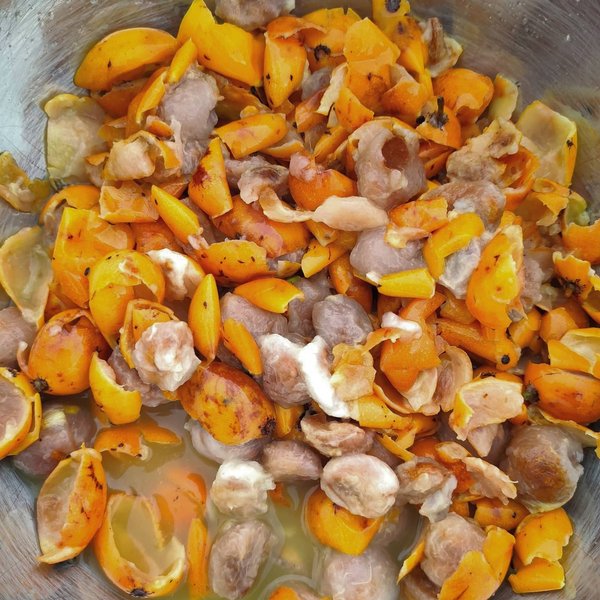 Thumbnail of p-cjbkrgbhejb-d48ddd19660044a4 1