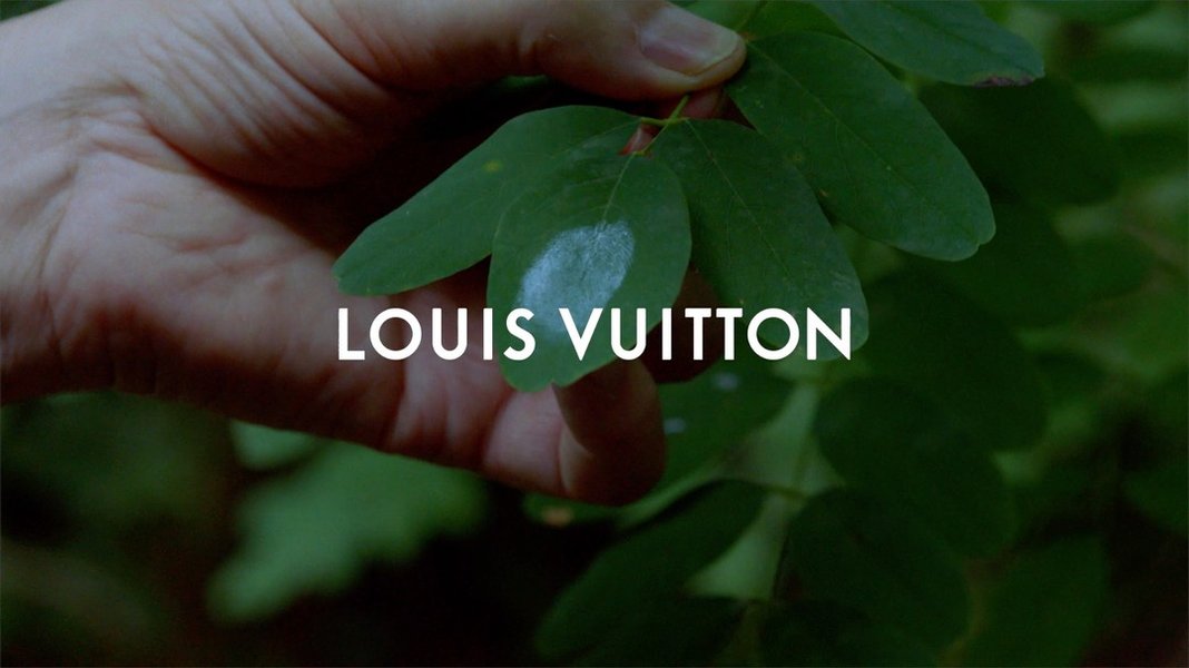 Thumbnail of p-c2nh9vxiirv-d4c9d917c3f14f79 0