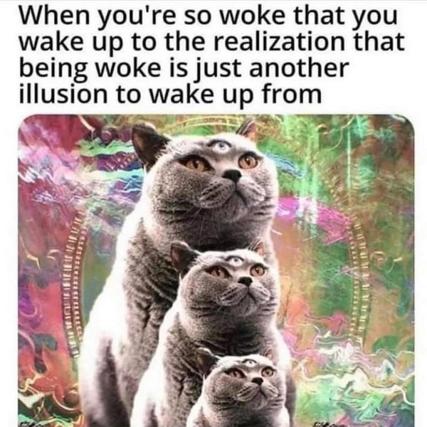 Thumbnail of p-ctmuoevliea-d4caac8e1e0f4a09 7