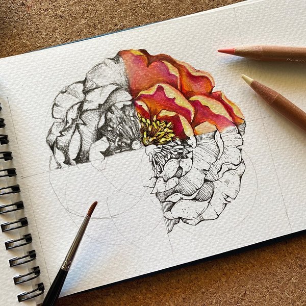 Thumbnail of p-cad6lmhkny-d4d4d6cf324e43b0 5