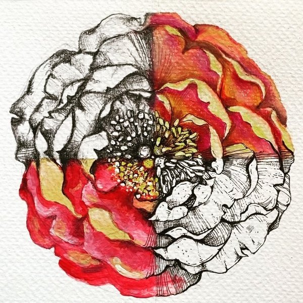 Thumbnail of p-cad6lmhkny-d4d4d6cf324e43b0 7