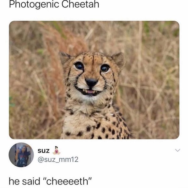 Thumbnail of cefvymgl-9y-d50bac4823b742ee 0