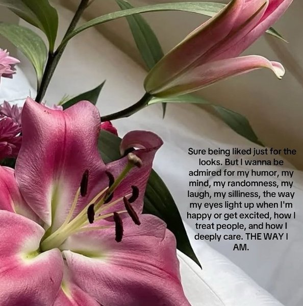 Thumbnail of p-dl2zucmp1rm-d534b1bdca0f4ea6 4