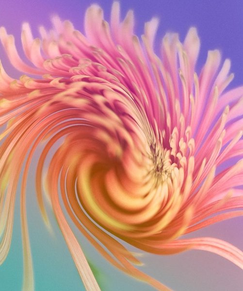 Thumbnail of p-cqh60eujmri-d55b5886ff12404f 0