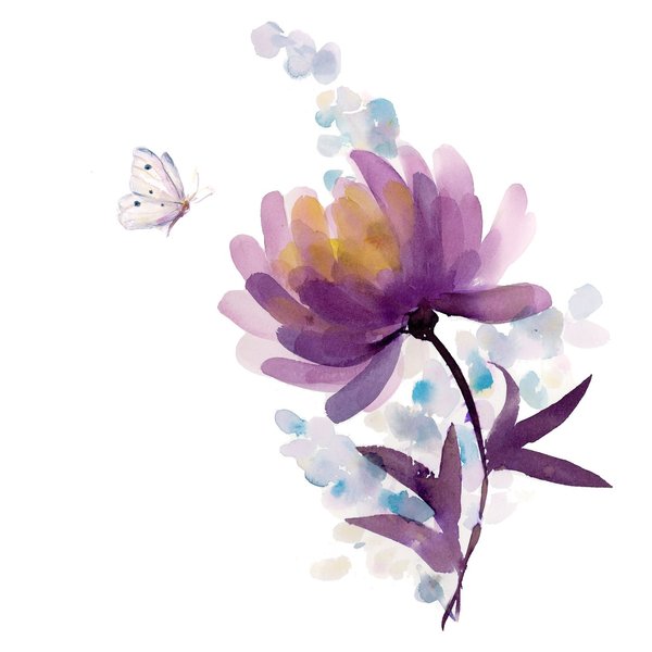 Thumbnail of p-ckcraqzrnpd-d5a1d1e26c964bcb 0