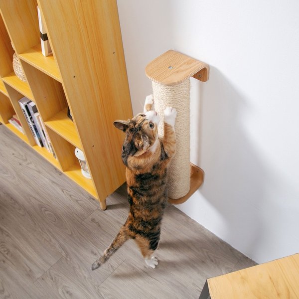 Thumbnail of p-cop6xybjxuw-d5a7870c67e7452d 0