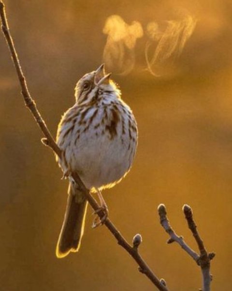 Thumbnail of cp-k1uuupox-d5d4ecc7119a4396 0