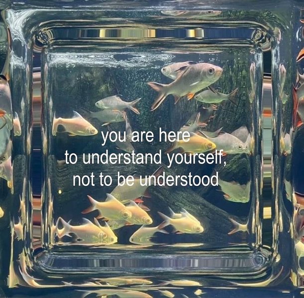 Thumbnail of dmmcb-bs4wc-d5e16236559f4d42 0