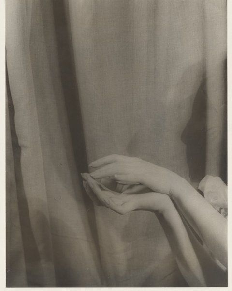 Thumbnail of p-cbjxli4lmkm-d5e48adb026d4378 1