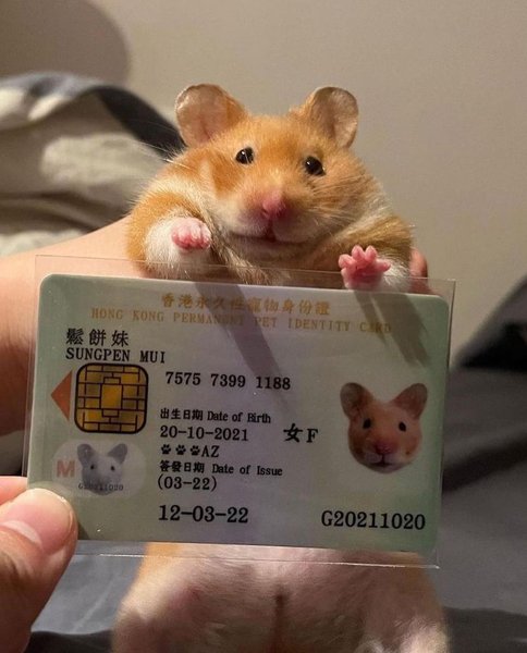 Thumbnail of cte0f-4nnrg-d5f07e127ebd4e8a 1