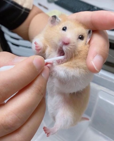 Thumbnail of cte0f-4nnrg-d5f07e127ebd4e8a 3