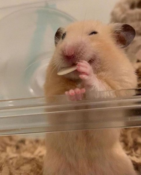 Thumbnail of cte0f-4nnrg-d5f07e127ebd4e8a 4