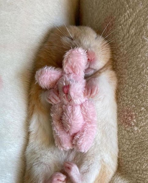 Thumbnail of cte0f-4nnrg-d5f07e127ebd4e8a 5