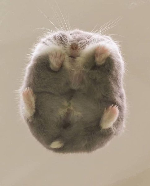 Thumbnail of cte0f-4nnrg-d5f07e127ebd4e8a 6