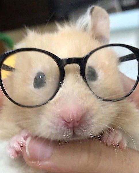 Thumbnail of cte0f-4nnrg-d5f07e127ebd4e8a 9