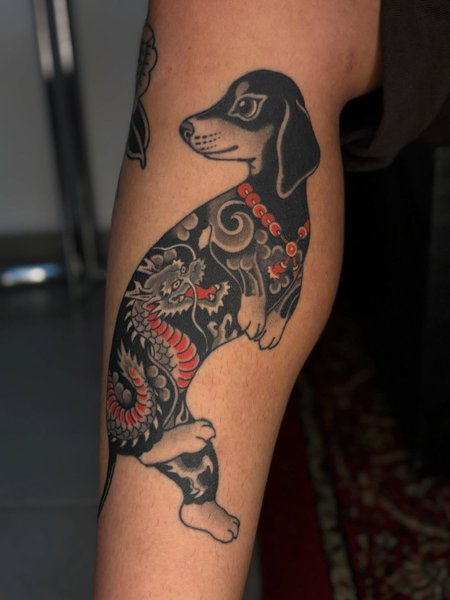 Thumbnail of p-dqc1eknav1d-d5f5394ff71f4f8b 0