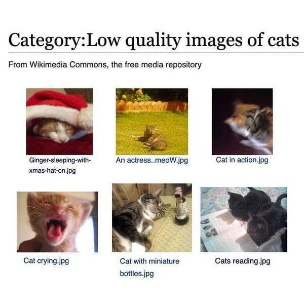 Thumbnail of p-dfjmsxdolox-d620372e119a44d7 12