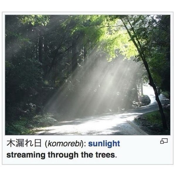 Thumbnail of p-dfjmsxdolox-d620372e119a44d7 5