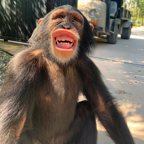 Thumbnail of p-cgcklhkj4s3-d6449c7c00a94a7a 0