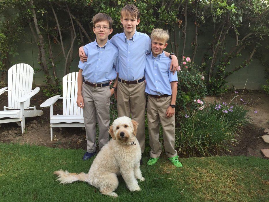 Thumbnail of www-x-com-willdepue-status-1952719299719622889-d65d1455947a4453