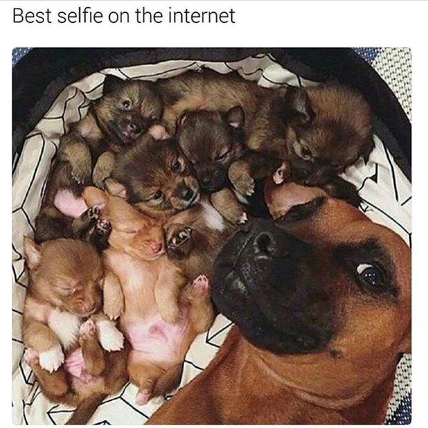 Thumbnail of p-bsbycljasty-d6e749bab5994749 8