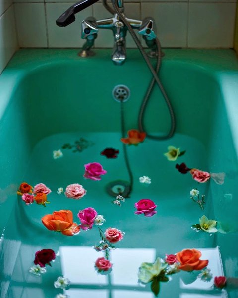 Thumbnail of p-bsewu6hdt5s-d6fae551c9524484 0