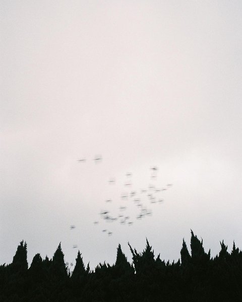 Thumbnail of 27a-wt-d714d4e07d364c88 0