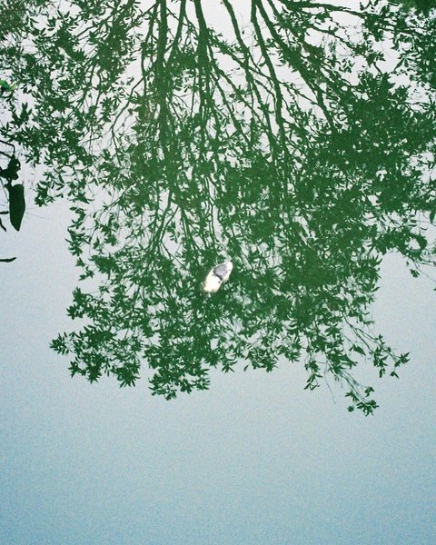 Thumbnail of 27a-wt-d714d4e07d364c88 1