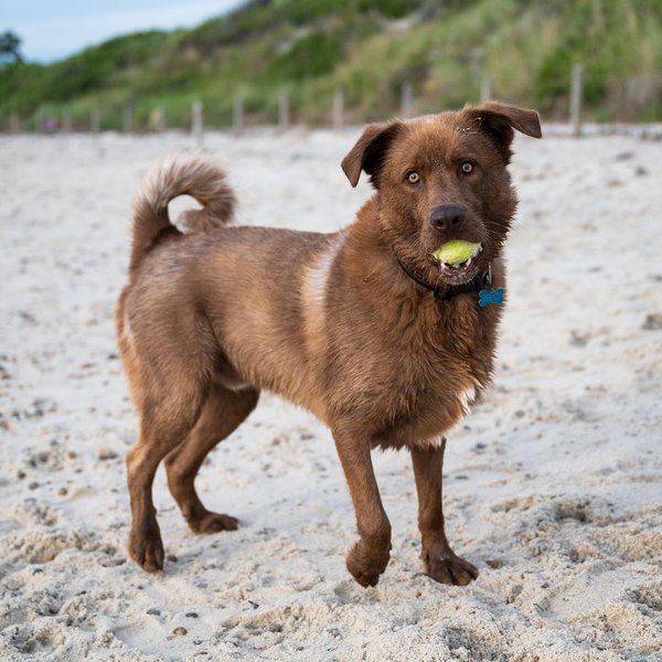 Thumbnail of p-cdrkz2unmyr-d717ba394e014781 1