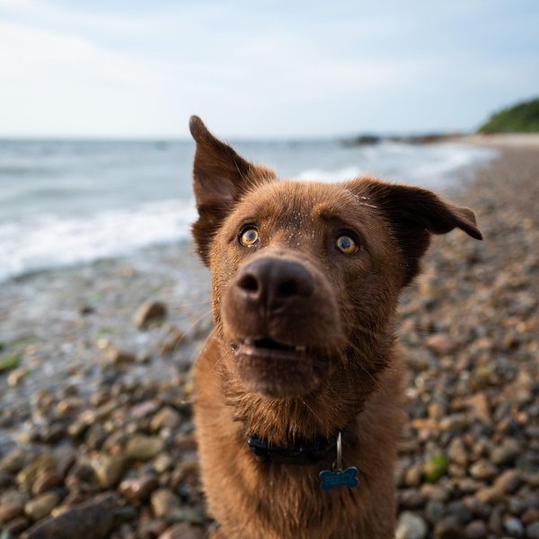 Thumbnail of p-cdrkz2unmyr-d717ba394e014781 2