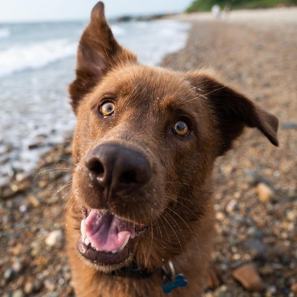 Thumbnail of p-cdrkz2unmyr-d717ba394e014781 4