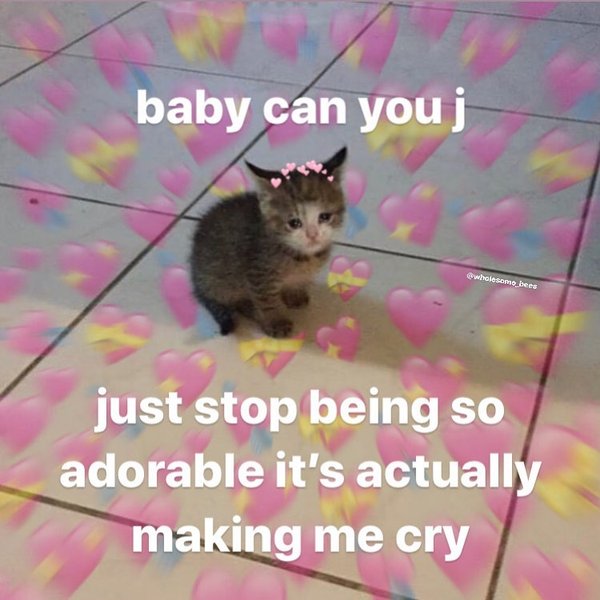 Thumbnail of p-b8uyhe7l3pr-d720c495b34b4f8c 0