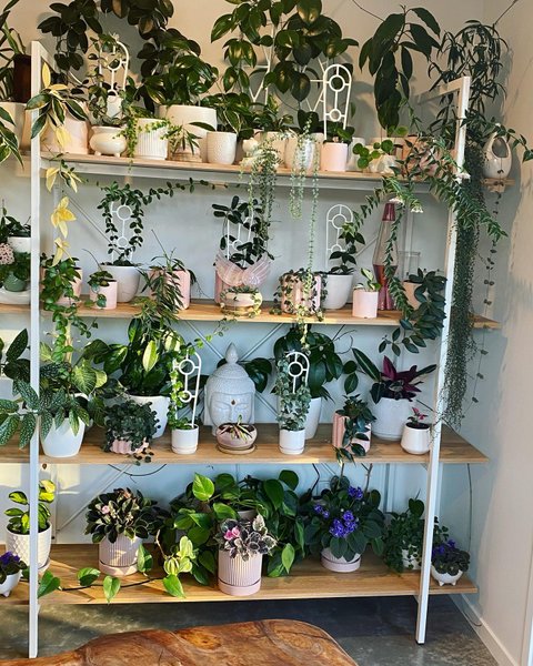 Thumbnail of p-cnu8z8myp8m-d72a55eb579b4572 0