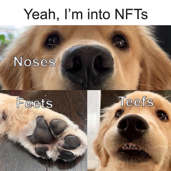 Thumbnail of p-caz6ir5lzmv-d72b7c9049f24cda 0