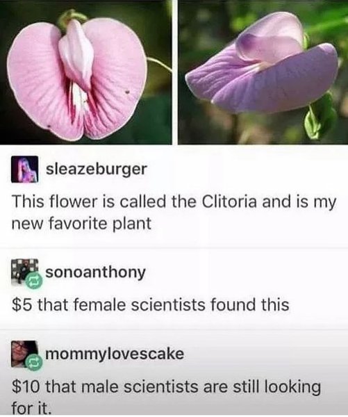 Thumbnail of p-cjbaxporjmt-d73677fd6f404b5f 0