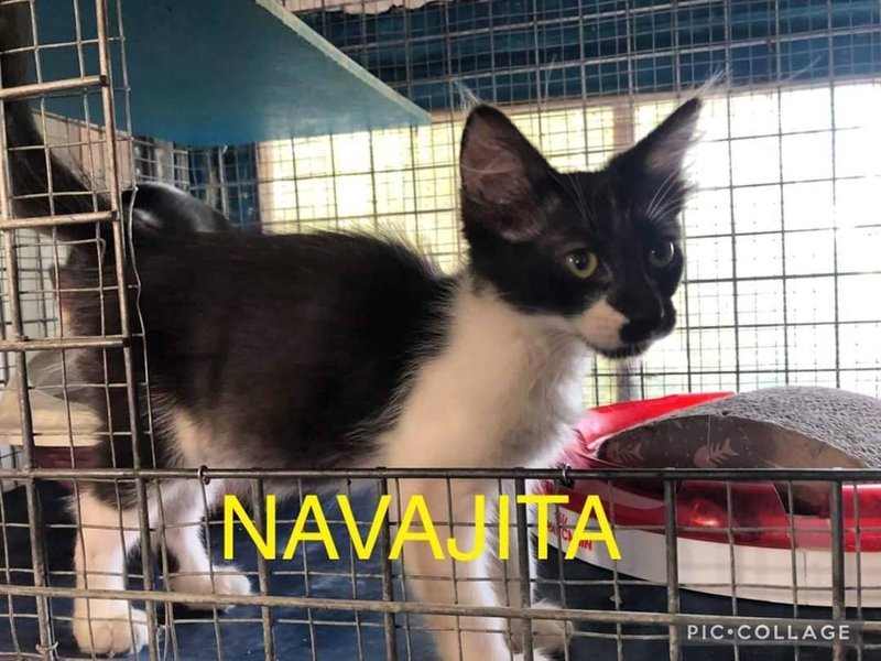 Thumbnail of p-csheohynujx-d76f18344d0b40bf 0