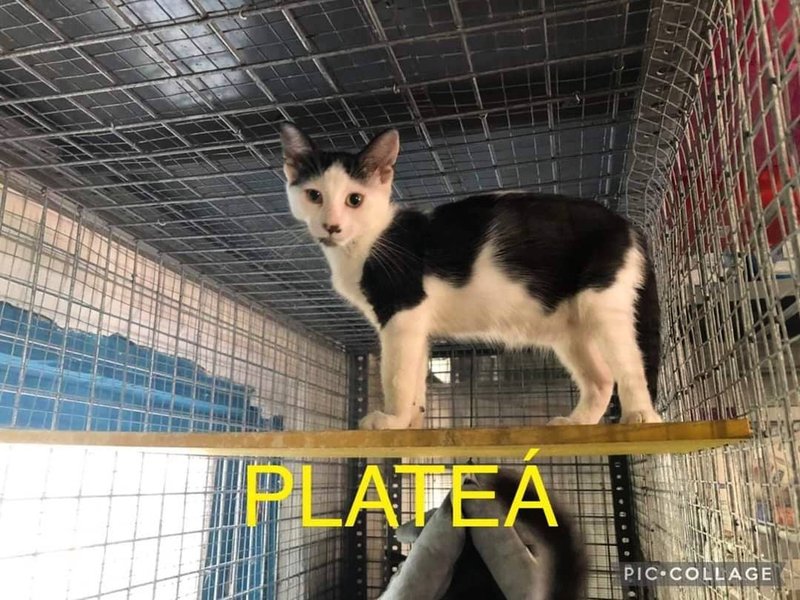 Thumbnail of p-csheohynujx-d76f18344d0b40bf 1